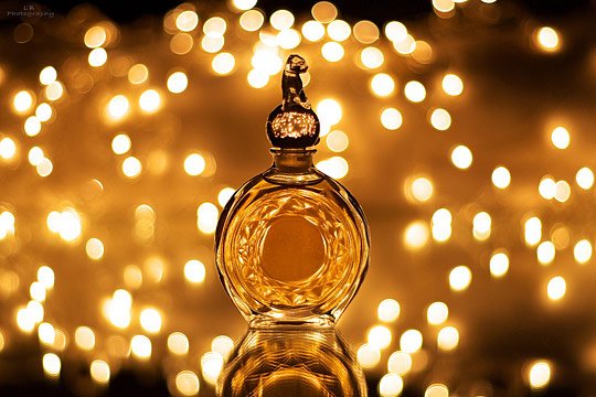 美国研究人员发现气味可以控制寿命长短