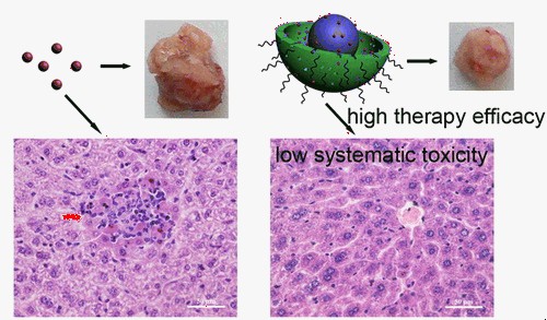 夹心二氧化硅装载多烯紫杉醇治疗肝癌低毒、高效