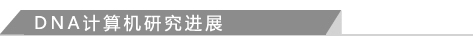 DNA计算机研究进展