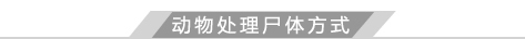 动物处理尸体的方式