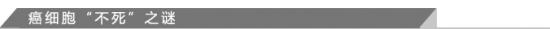 癌细胞“不死”之谜