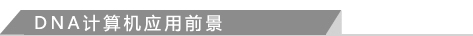 DNA计算机应用前景