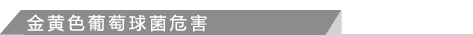 金黄色葡萄球菌危害