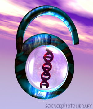 仿菌”超级胶能“锁住”蛋白质分子