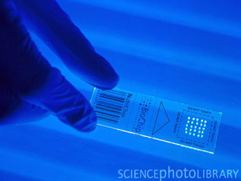 科学家开发出能加密和破译DNA芯片图像的生物计算机