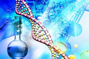 三类抗生素潜在杀伤力可损伤细胞DNA
