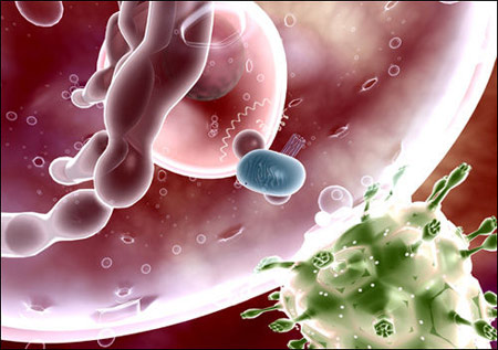 Nature：研究解析HIV病毒如何与细胞互相合作