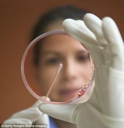 科学家称实验室合成肉类将变现实