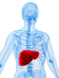 Nature：肠道微生物数量改变可导致脂肪肝和肥胖