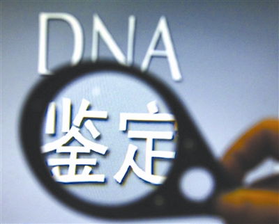 揭秘亲子鉴定全过程：21个步骤析出DNA