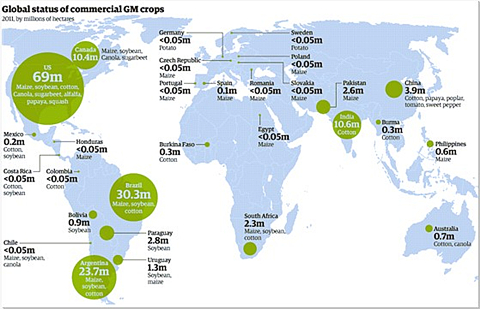 2011全球商业转基因作物分布图