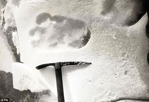 探险队在雪中发现一个奇特的脚印