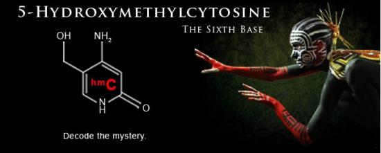 5-羟甲基胞嘧啶