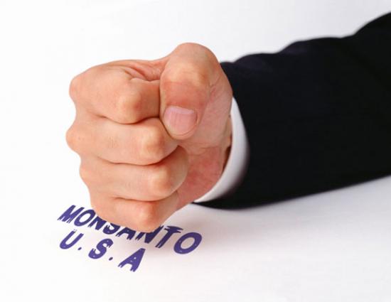 孟山都罪恶劣公司