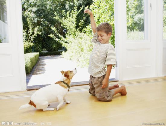 儿童十岁时最能识别狗的叫声