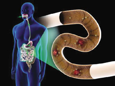 肠道细菌控制食欲