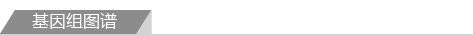 基因组图谱