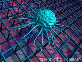 癌细胞的DNA修复并非单行道