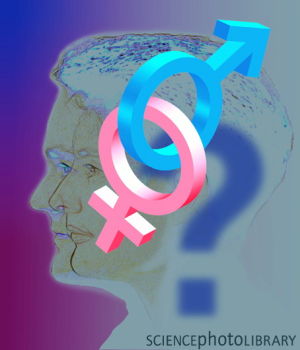 双性人，引起困扰