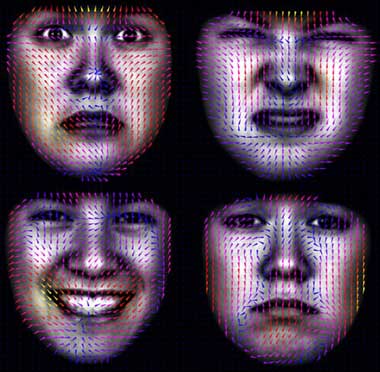 面部表情