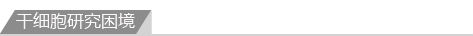 干细胞研究困境