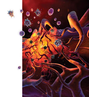  人体免疫系统也有miRNA分子参与（人体免疫系统图）