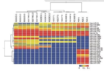 图1：microRNA 芯片结果聚类图。随着耐受性的增强，13 个microRNA 表达量增强，12个microRNA 表达量降低