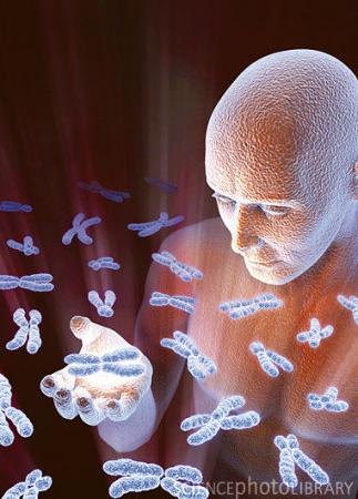 染色体数量异常将导致癌症