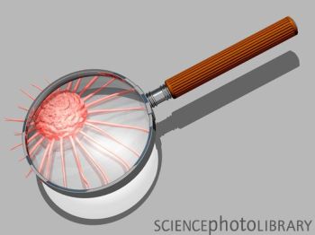 用溶瘤病毒诱导癌细胞自杀