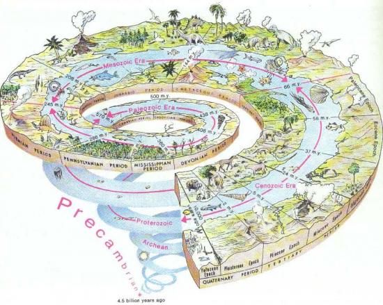 PNAS：生物从咸水迁移到淡水引起物种分化