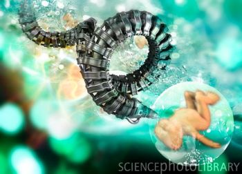 上海出现首例“第三代试管婴儿” PGD可排除遗传病基因