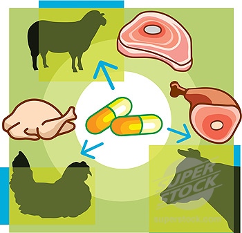避免间接增加人类抗药性FDA限制对家畜注射抗生素