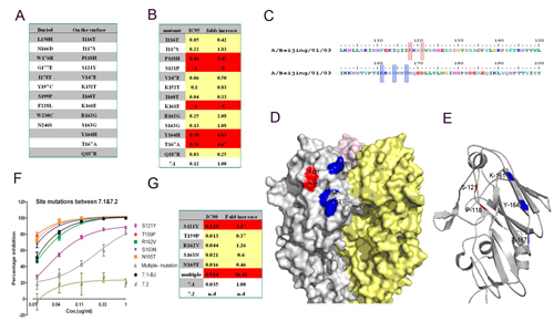 J Virol：周保罗等高致病性禽流感H5N1病毒研究获进展