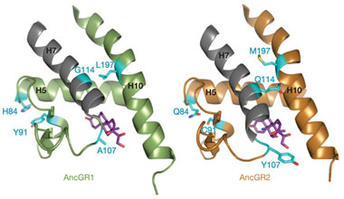 PNAS：芯片实验室技术实现单细胞基因分析
