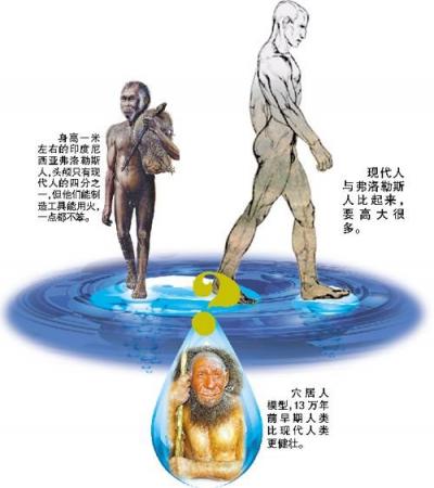 进化到极限 微观演化