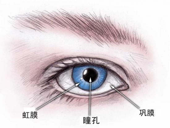青光眼，是一种发病迅速、危害性大、随时导致失明的常见疑难眼病。