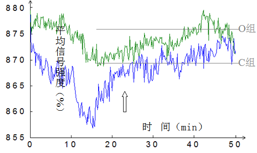 用磁共振 “看清”肥胖