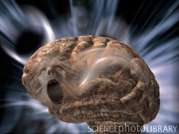 Cell：抗精神病药物在大脑中作用的分子机制