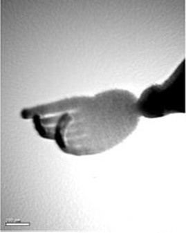 英研制手掌型纳米医学工具 或为全球最小手术刀