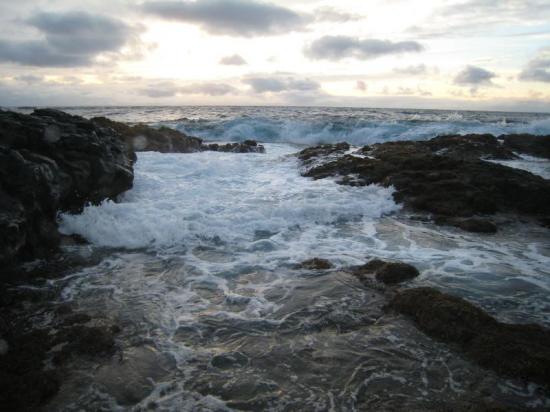 Ocean. The mass extinction of marine life in our oceans during prehistoric times is a warning that the same could happen again due to high levels of greenhouse gases. 