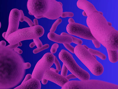 Rendering of bacteria.