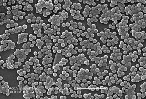 MRSA 