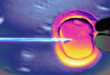 Nature:新方法消除干细胞疗法致命副作用