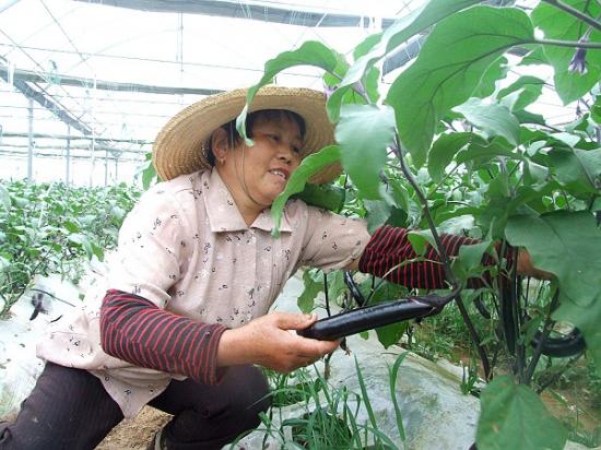 发改委等部分联合发布《关于印发西部地区农民创业促进工程试点工作指导意见的通知》