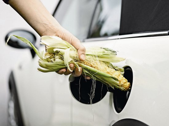 研究称生物燃料也有排放问题