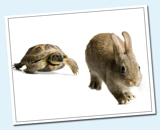 龟兔赛跑