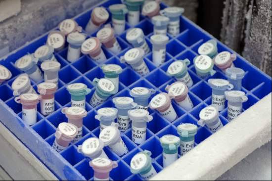 生物银行预示对人类遗传基因调研的全面开展