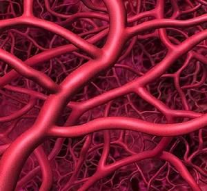 美用强力生长因子催生新血管