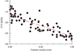 Figure 2: Woody cover and soil δ13C for 76 tropical soils used in this study.