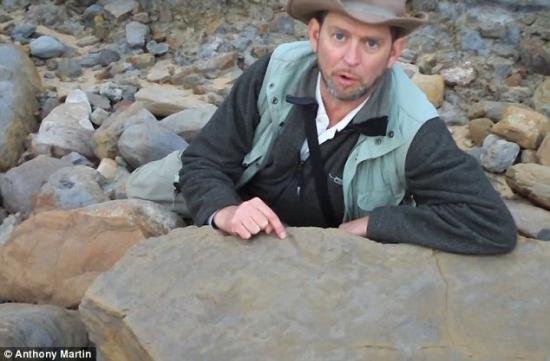 澳大利亚发现南极洲恐龙足迹群 距今1.05亿年